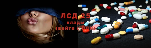 эйфоретик Покачи
