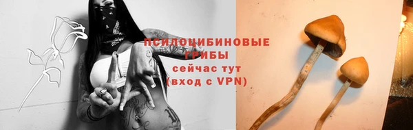 прущие крисы Покров