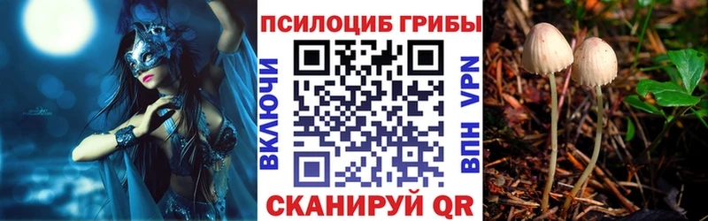 Псилоцибиновые грибы Psilocybine cubensis Похвистнево